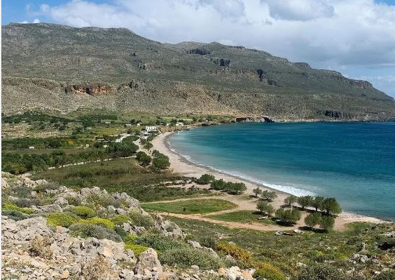 Read more about the article Zakros beach