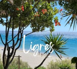Read more about the article Ligres beach